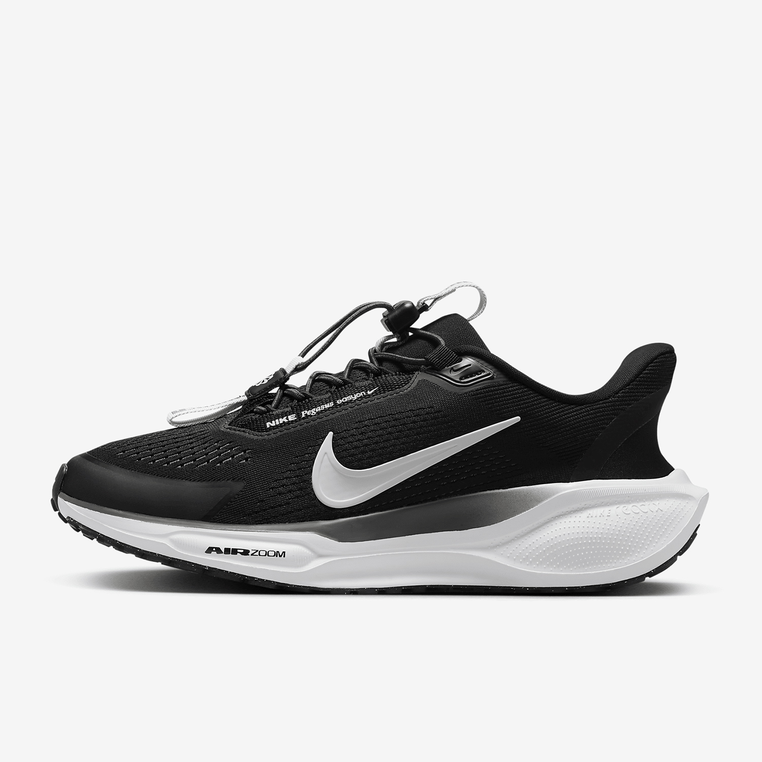 Nike Authentic Pegasus EasyOn  - đánh giá và giá Women Shoes Running Nike